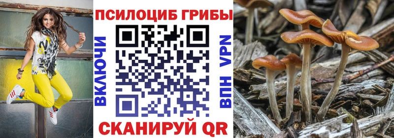 Галлюциногенные грибы мицелий  продажа наркотиков  Черногорск 