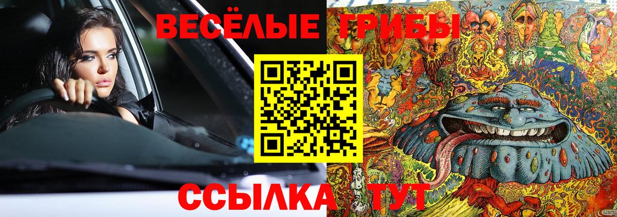 Черногорск  Псилоцибиновые грибы GOLDEN TEACHER  Вход с VPN 