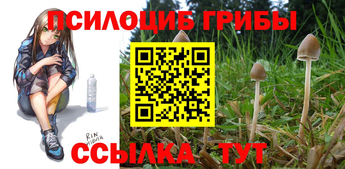 Галлюциногенные грибы ЛСД Черногорск